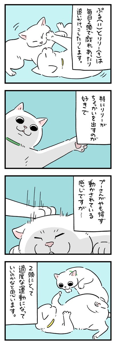 ねこページ yumicom on X