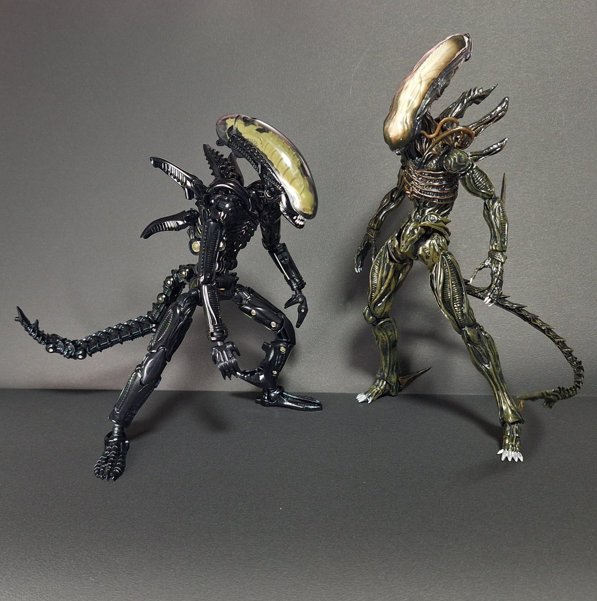 遊しん【雷鳥工房】 on X