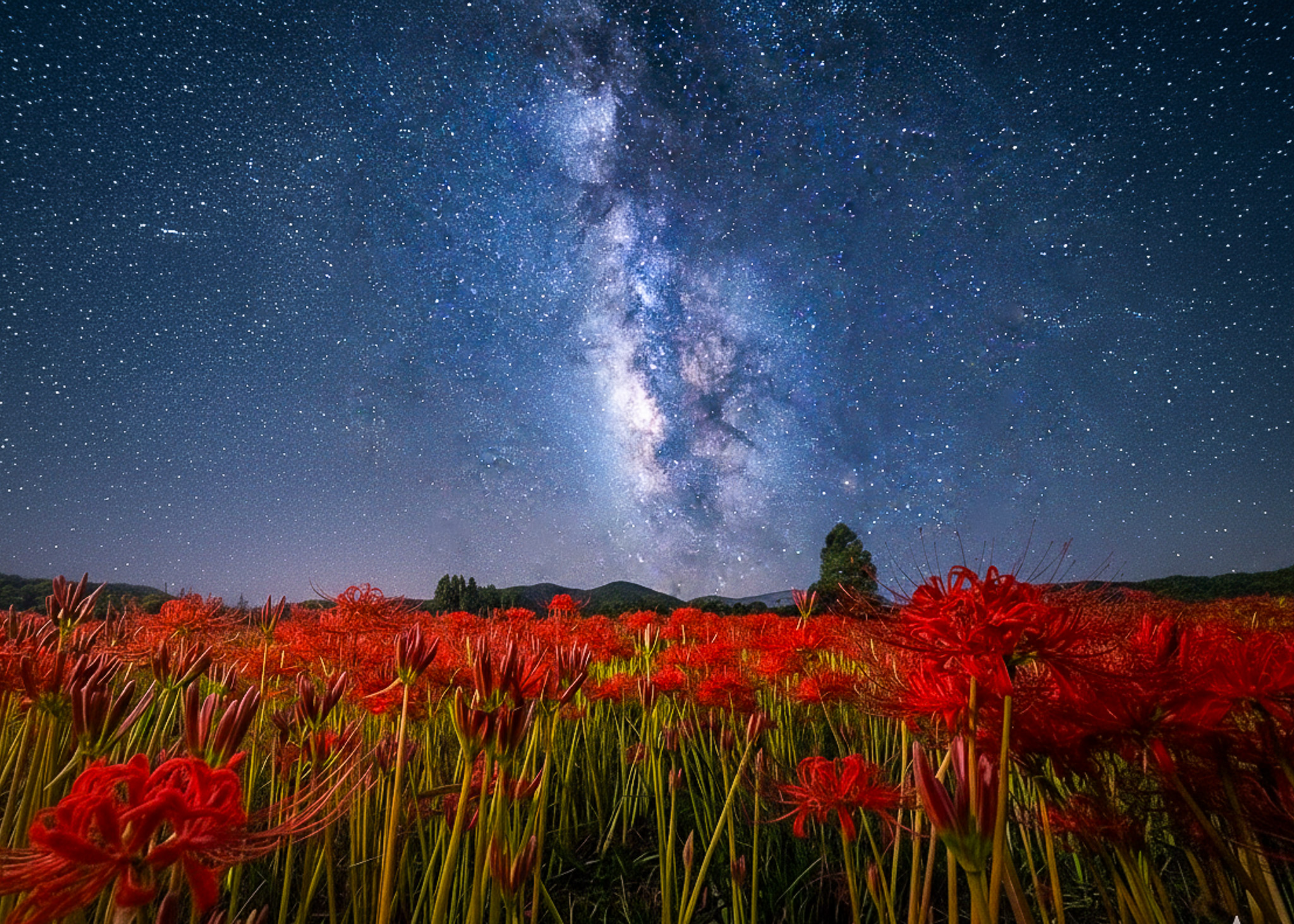 糸島photographer on X: 