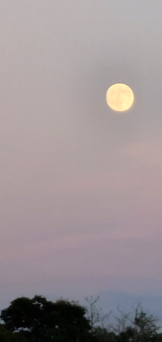 今年も最寄りの海にて。
満月は明日だけど
なにしろでっかく見える！
#中秋の名月