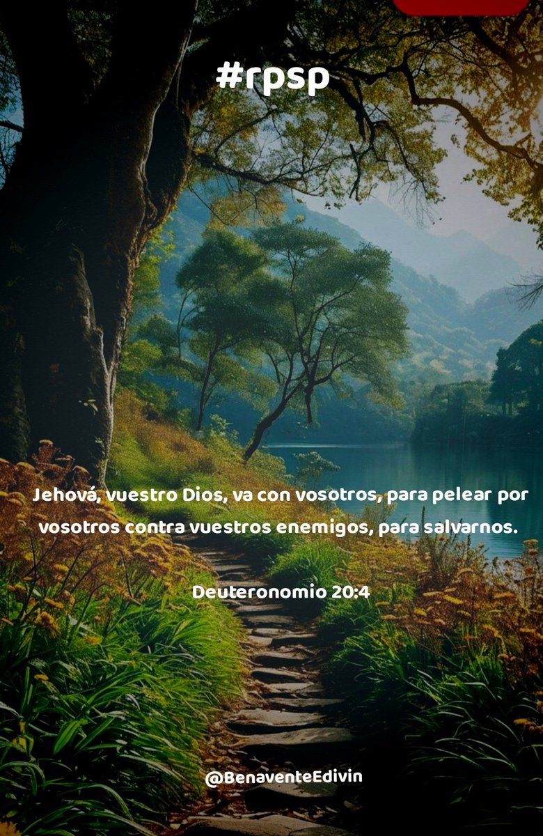 Tengamos esperanza incluso cuando las cosas se ponen difíciles, porque sabemos que Dios luchará junto a nosotros. Al tener esta confianza, podemos enfrentar cada batalla de la vida con la fuerza necesaria para superar cualquier obstáculo. #rpsp #PrimeroDios #Amen #Deuteronomio20