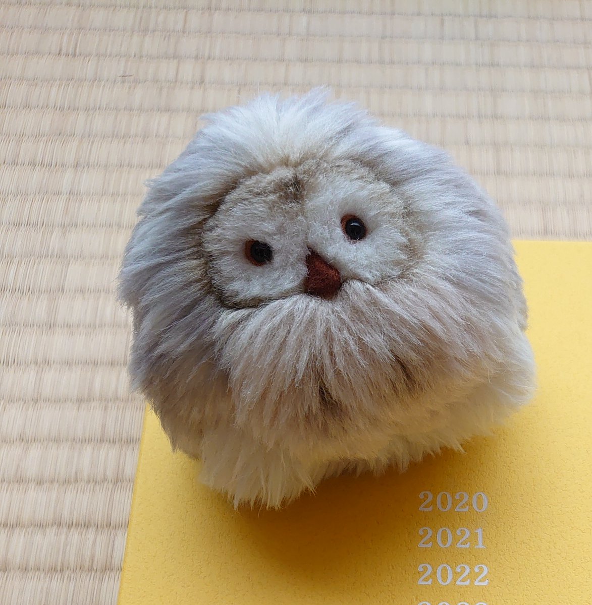 #うちぬいプロフ 

名前 ミュー

モンスイユから来たよ🦉
飼い主がミュシャ展に行く途中に寄った雑貨屋さんで会って、一目惚れしたんだって！ミュシャ展の日に出会ったからミューていうよ！
天真爛漫な女の子。飼い主と映画をよく一緒に見るよ！