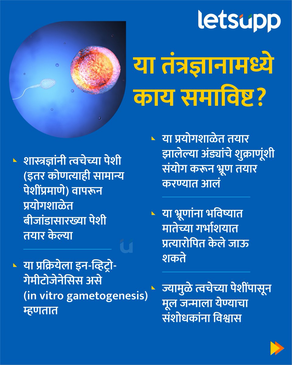 LetsUppMarathi's tweet image. अभ्यासाच्या सहलेखिका आणि ओएचएसयू स्कूल ऑफ मेडिसिनमधील प्रसूती व स्त्रीरोग विभागाच्या प्राध्यापिका डॉ. पॉला अमाटो यांच्या मते, हा वंध्यत्वावर नवीन द़ृष्टिकोन विकसित करण्याच्या दिशेने एक महत्त्वाचा टप्पा आहे. 
-
#OHSU #SchoolofMedicine #Gynecology #DrPaulaAmato #maharashtra #clinic