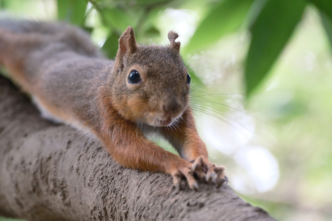 りこ❣️ 0928400742 - Original Measurement Unit Valve 1465ZS0023