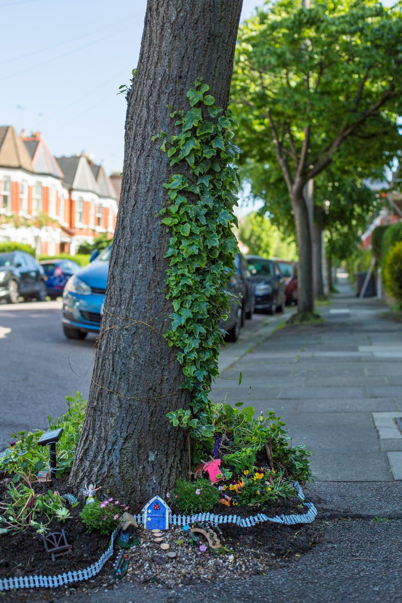 Street trees are vital habitats for thousands of species that live in urban areas; without them, we'd lose a lot of local ecosystems 🦉🐝🐞🦋

Today, we're using World Habitat Day to urge councils to partner with us to enable wildlife to thrive in the areas they look after.