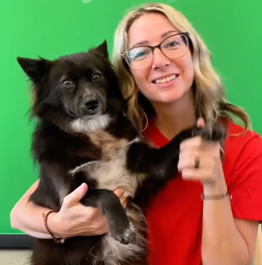 Woof woof!

The $SOCKS community is now live!

x.com/i/communities/…

Come and join <a href="/GiggleAcademy/">Giggle Academy</a>'s number one star, Socks!