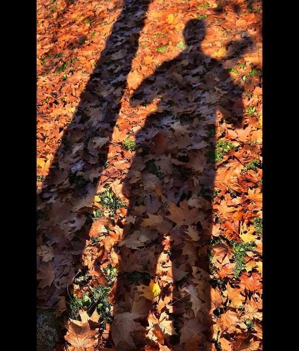 2Jost (@twojost) on Twitter photo Good morning, dear art & nature lovers! Wish you all a happy new week ahead🌞
"Me And The Tree"📷
Connected to nature...
3/3 - 7.6 tez 
Link below🔗👇 Good morning, dear art & nature lovers! Wish you all a happy new week ahead🌞
"Me And The Tree"📷
Connected to nature...
3/3 - 7.6 tez 
Link below🔗👇