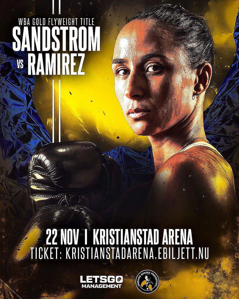 Linn Sandstrom (@sandstromboxer) on Twitter photo 