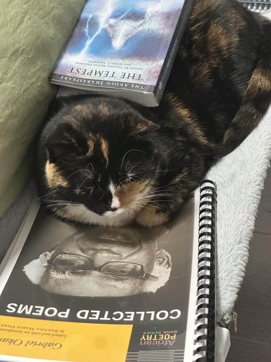 My new TA is not happy I used her perch for storage while lesson planning.