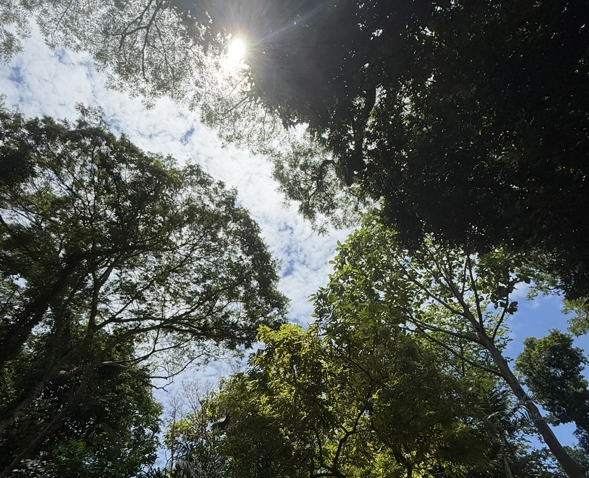 Joel John tweet media