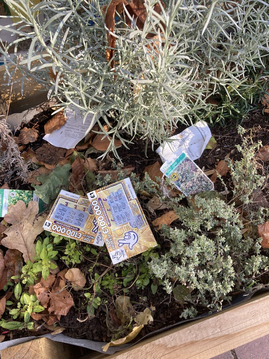 Perhaps one day, the people who use my herb planter outside the shop instead of the bin (literally 5 steps away) will leave me a winning scratch card? 🤔