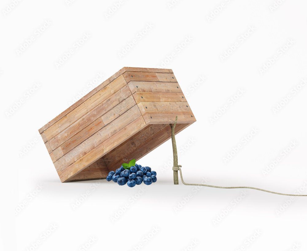 ChonkyBoi tweet media