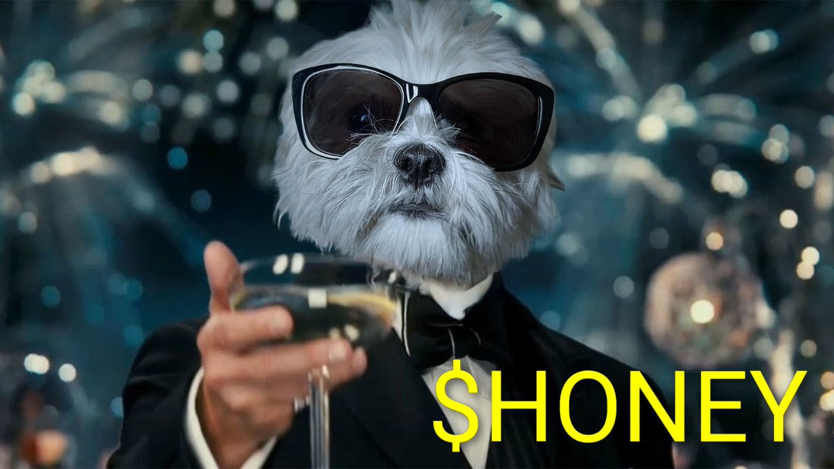 officialHoney25's tweet image. A toast to all the dogs who walked... so Honey could run. 🕶
$HONEY | 1 Honey = 1 Money 🐝
#Solana #HONEY