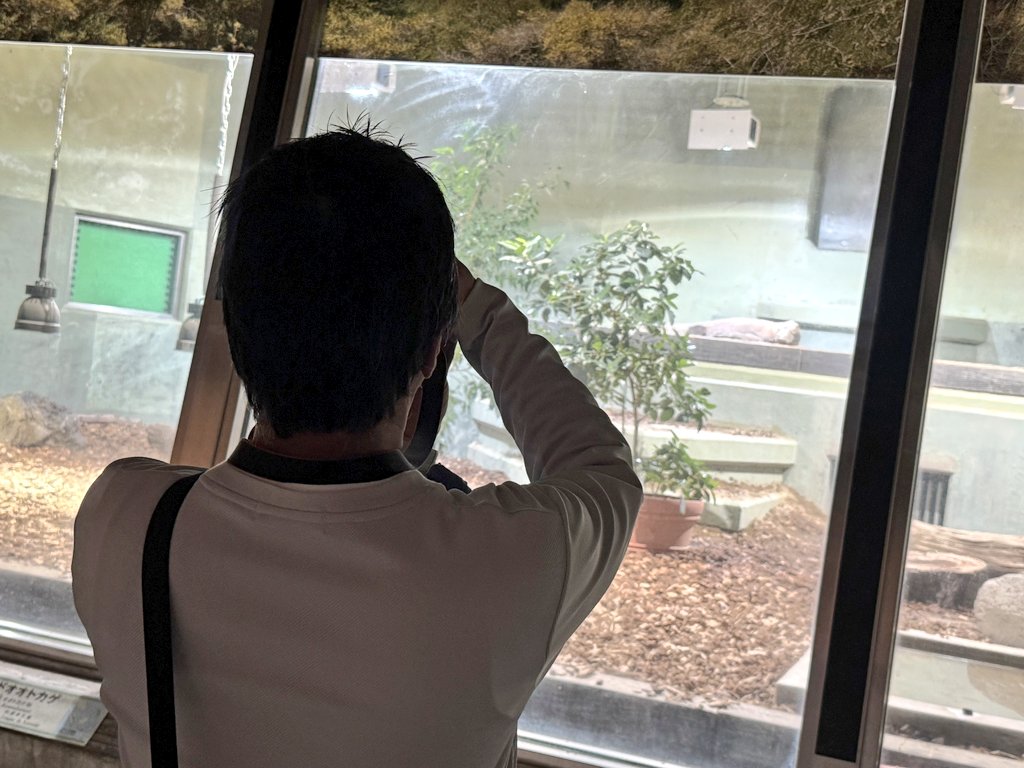 hacci_kahhjr38's tweet image. オフ会In東山動植物園
世界最強のトカゲ
えんがわさんがコドモオオトカゲって言ってた✨確かに言っちゃいそう…。
#東山動植物園
#世界最強
#コモドドラゴン
#コモドオオトカゲ