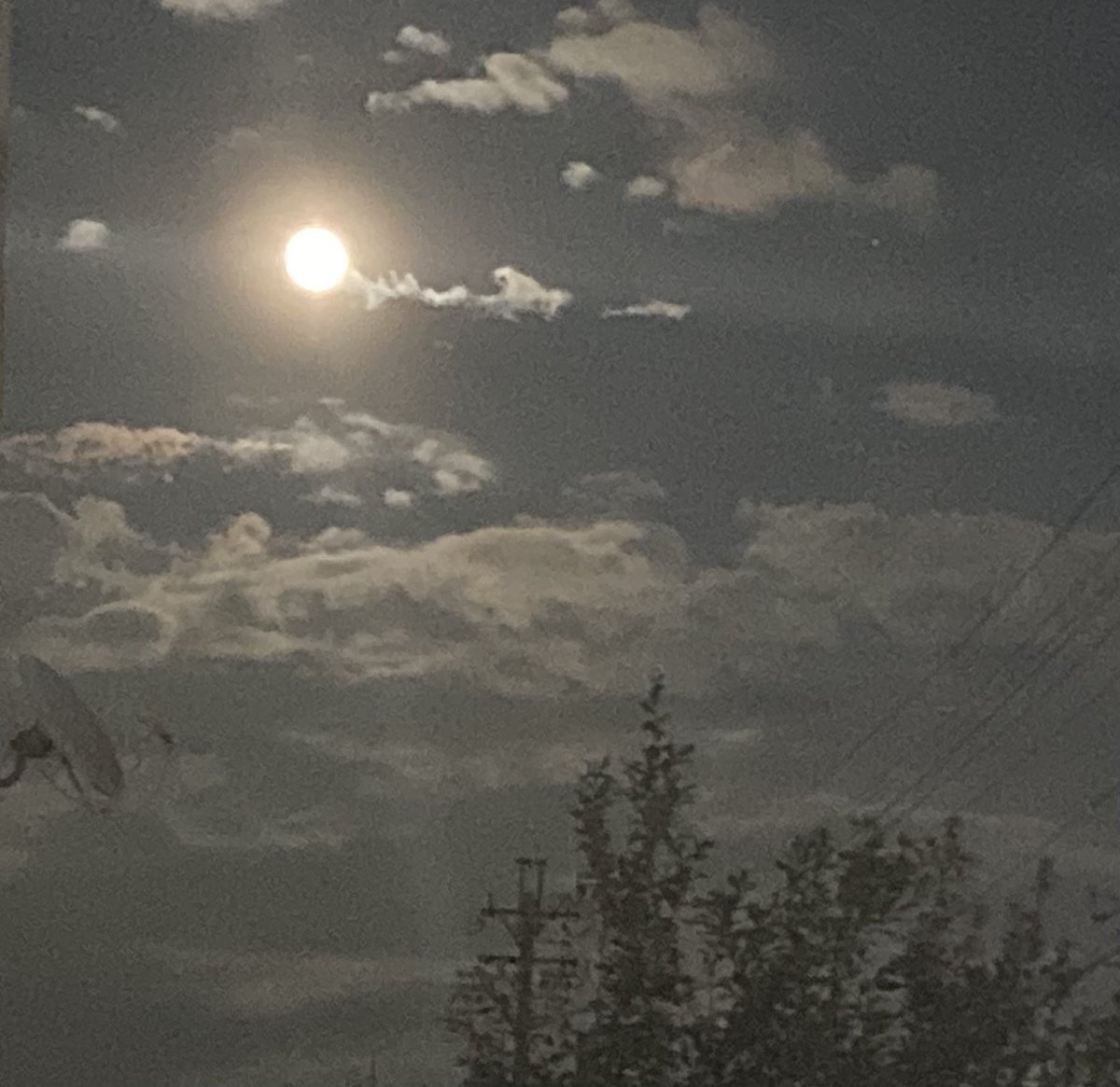 中秋の名月
18時現在 名古屋
雲行きが怪しくなる前にパチリ
#中秋の名月