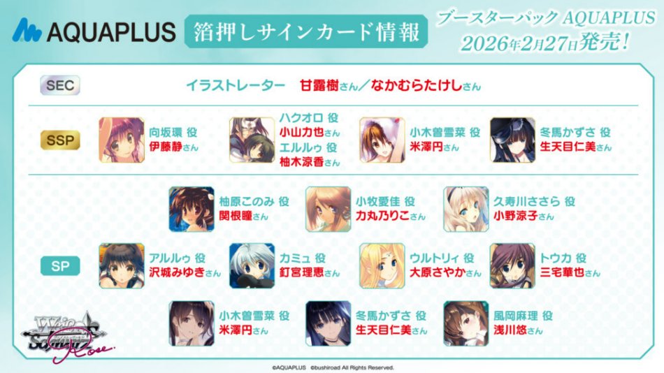 ヴァイスシュヴァルツロゼ AQUAPLUS RR以下 4コン 【公式通販】