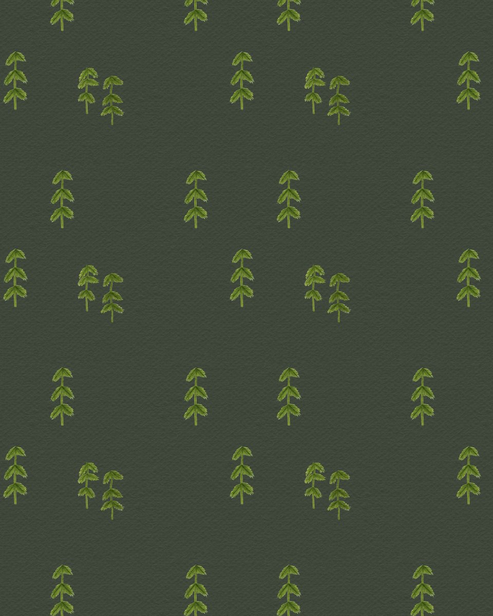 Natasha_Aguiar_'s tweet image. Standing tall, rooted, and timeless, a pattern inspired by the calm strength of pine trees 🌲💚 #NaturePatterns #SurfacePatternDesign #ArtLicensing #WhimsicalDesign #CreativeJourney