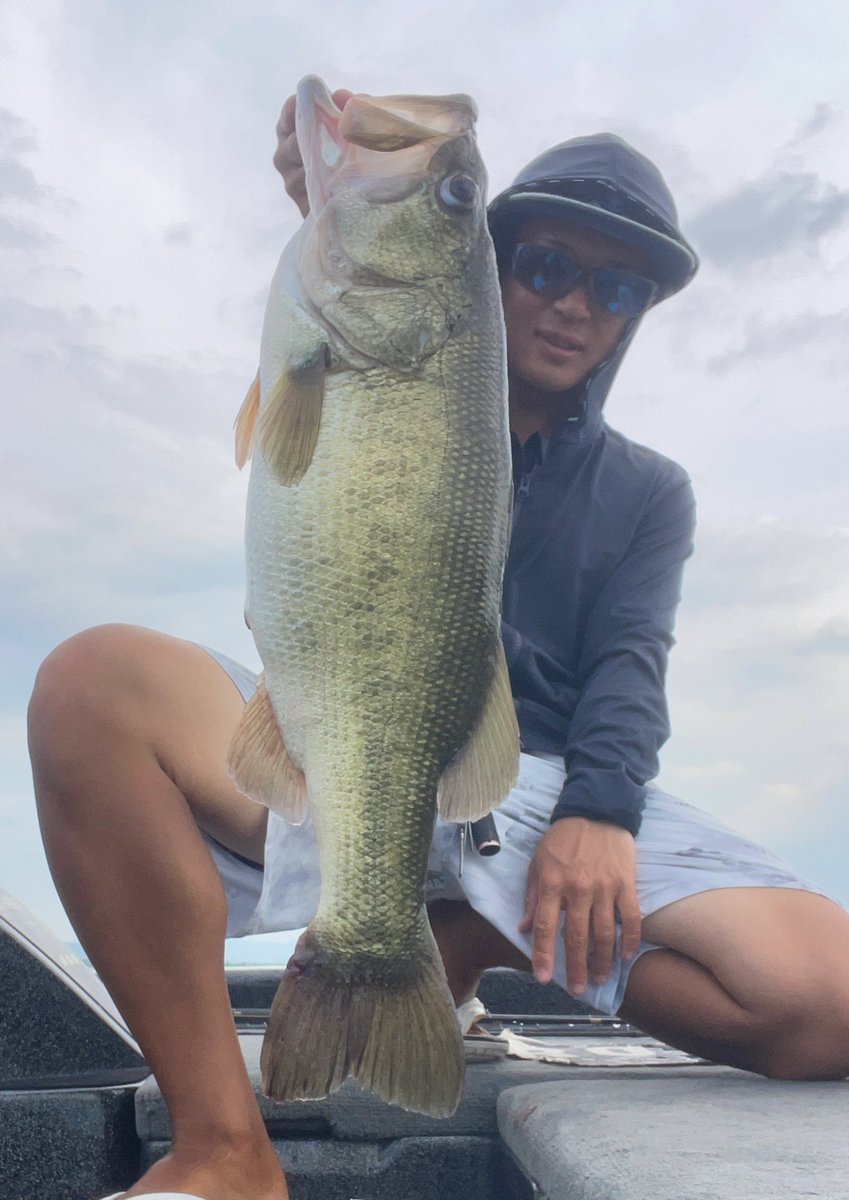 直近の琵琶湖同船募集日です！

10月18.19日(土日)
のみとなっております

※11月前半はクラシックとプラのため現状空き無しです🙇‍♀️

北湖中心に数もサイズもよく釣れる楽しい時期です！
秋の琵琶湖楽しみましょ🐟

お気軽にご連絡ください！

#バスボート
#琵琶湖
#同船募集