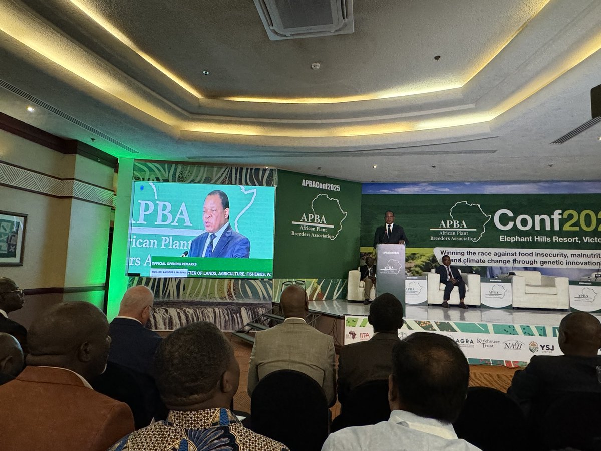 DrStanfordBlade's tweet photo. An exciting first session (and big crowd!) of the @apb #APBA2025 (with @ICRISAT friend) the Hon. Anxious Masuka @MoLAFWRD_Zim opening the Conference. Minister Masuka described the ongoing work in #Zimbabwe on #foodsecurity & @climateresilience. #transformingdrylandagriculture https://t.co/cZaHZHBn2I