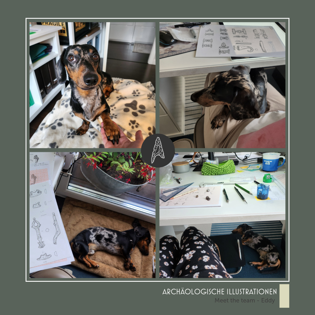 May we introduce our rather secret, but not so quiet third team member: Edgar Elmo 
As the photos prove, there is hardly a drawing that is not created in his presence. Although he tends to work in the background, nothing escapes his watchful eyes. #ArchIllu #MeetTheTeam #CEO #pet