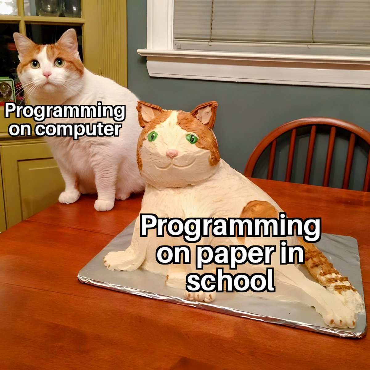 lingodotdev's tweet photo. Programming on paper is next level 😆 https://t.co/tH3ONVmnAk