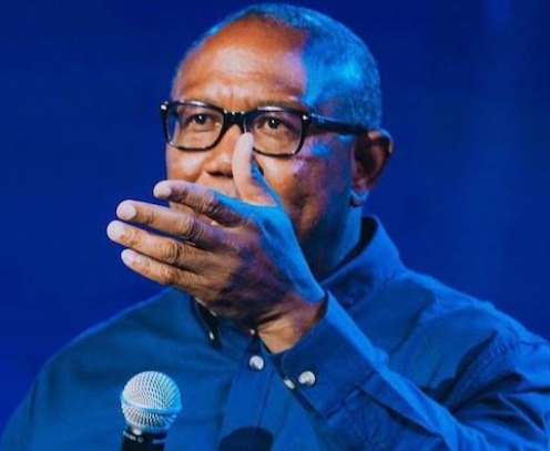 'Certificate Forgery Is Criminal Offence Globally, But in Nigeria INEC Makes No Effort to Scrutinize Certificates, Courts Dismiss Forgery Cases as ‘Pre-Election Matters’ — Peter Obi Laments Rot in Leadership parallelfactsnews.com/certificate-fo…