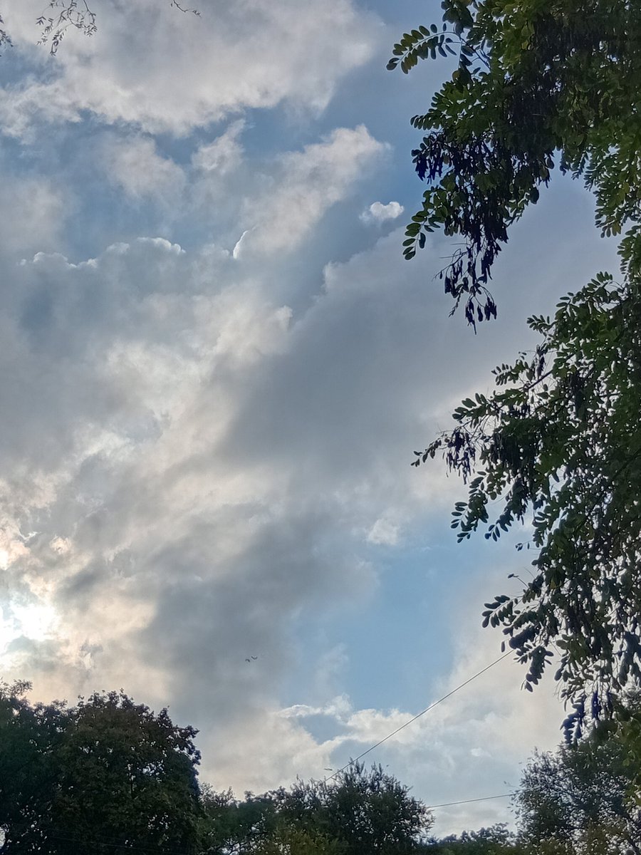 Катерина Галич tweet media