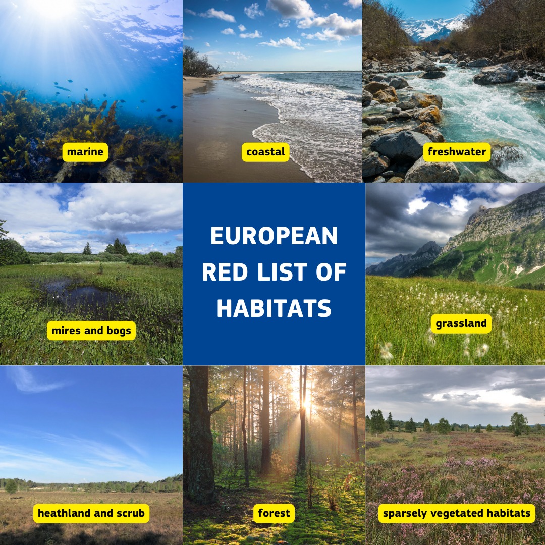 EU_ENV's tweet image. 🌍 Happy #WorldHabitatDay!
The EU is protecting habitats all around you with:
✅ EU Birds & Habitats Directives
✅ #Natura2000 network of protected areas
✅ Nature Restoration Law
✅ Global Biodiversity Framework.
But habitat loss continues.
More: lnkd.in/eamzEDYx