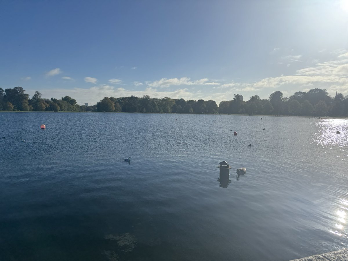 Room to Reward tweet media