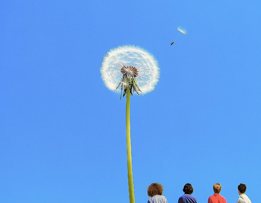 mp3hugger's tweet image. Forever summer months with Porcelain in the house.

mp3hugger.com/2025/10/porcel…

#porcelain #indierock