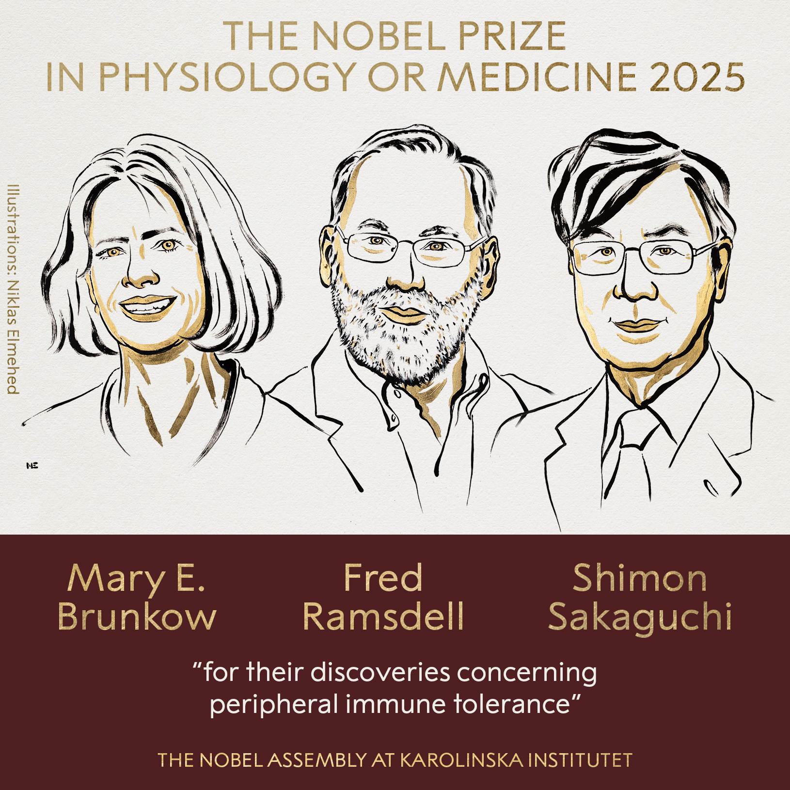 The Nobel Prize on X: "BREAKING NEWS The 2025 #NobelPrize in Physiology or  Medicine has been awarded to Mary E. Brunkow, Fred Ramsdell and Shimon  Sakaguchi “for their discoveries concerning peripheral immune