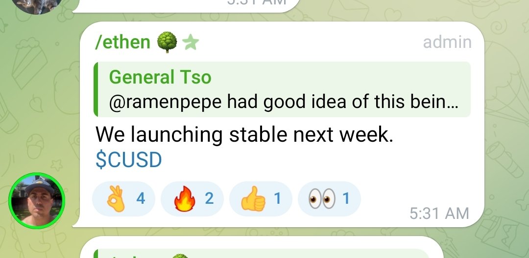 Chat screenshot about launching $CUSD stablecoin