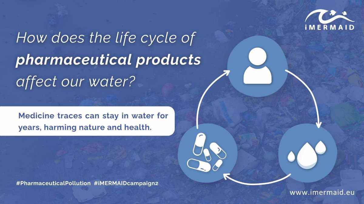 iMERMAID 🇪🇺 tweet media