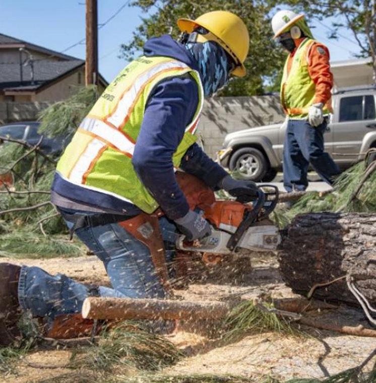 NLoppers's tweet image. 🌳 Need urgent tree removal? Our Emergency Tree Service North Shore is fast, professional, and available 24/7 to keep your property safe! ✅

👉 Read more: sites.google.com/view/emergency…

#TreeRemoval #EmergencyTreeService #NorthShore #TreeCare