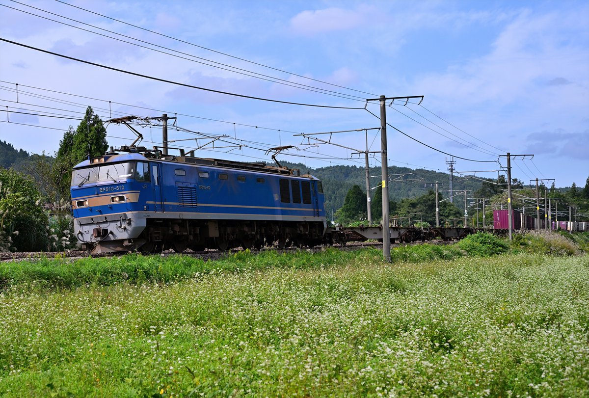 2025/10/06
4060レ
EF510-512
約1:45遅れ
※ピッピ ありがとうございます。