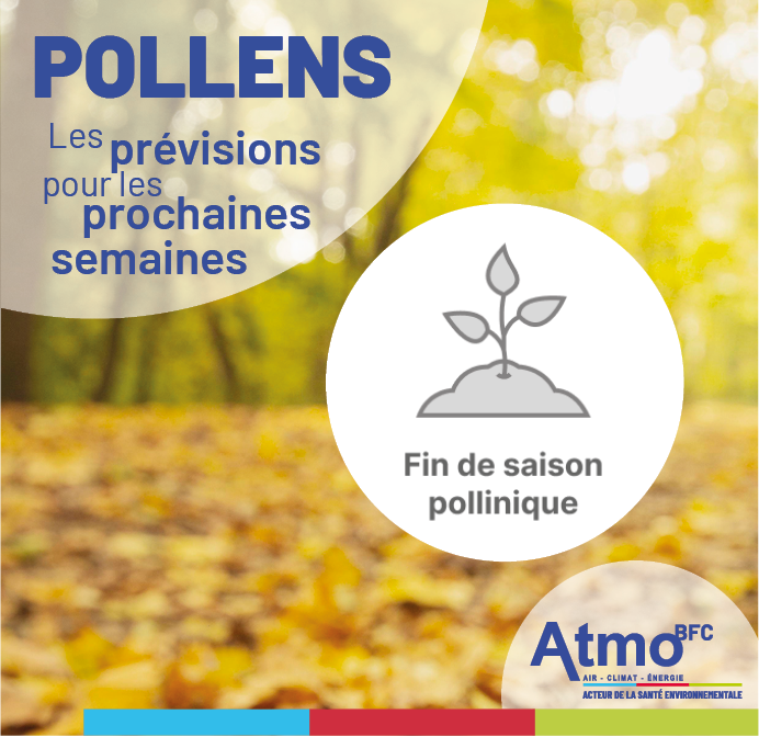🌿 Fin de la saison pollinique 2025 !
Peu ou pas de pollens dans l’air : le risque allergique est minime 🤧
🗓️ Reprise de la surveillance en janvier 2026.
📍 Cartes de prévision : atmo-bfc.org
#Pollens #Allergies #AtmoBFC