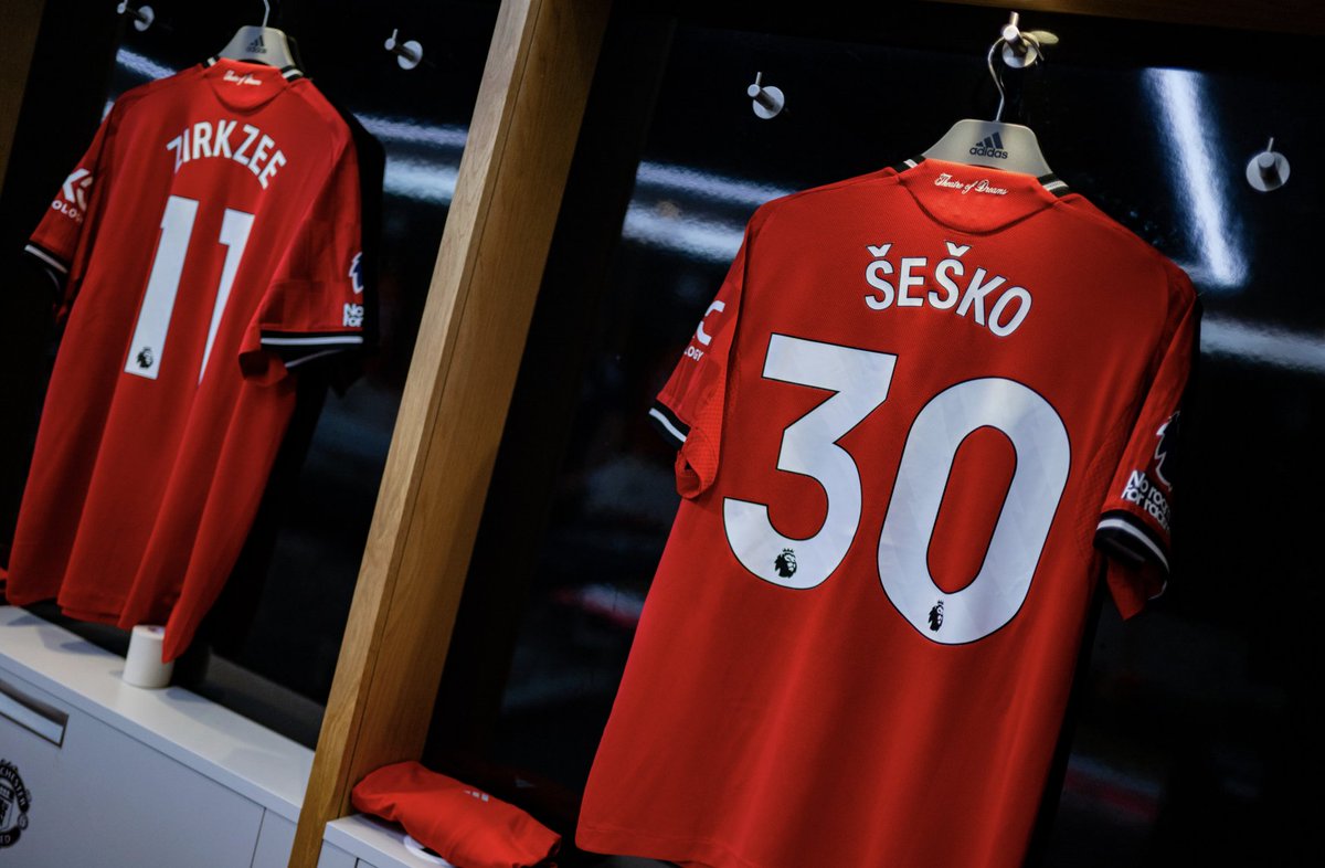 Manchester United Lサイズ DHL 赤シャツ 綿100％