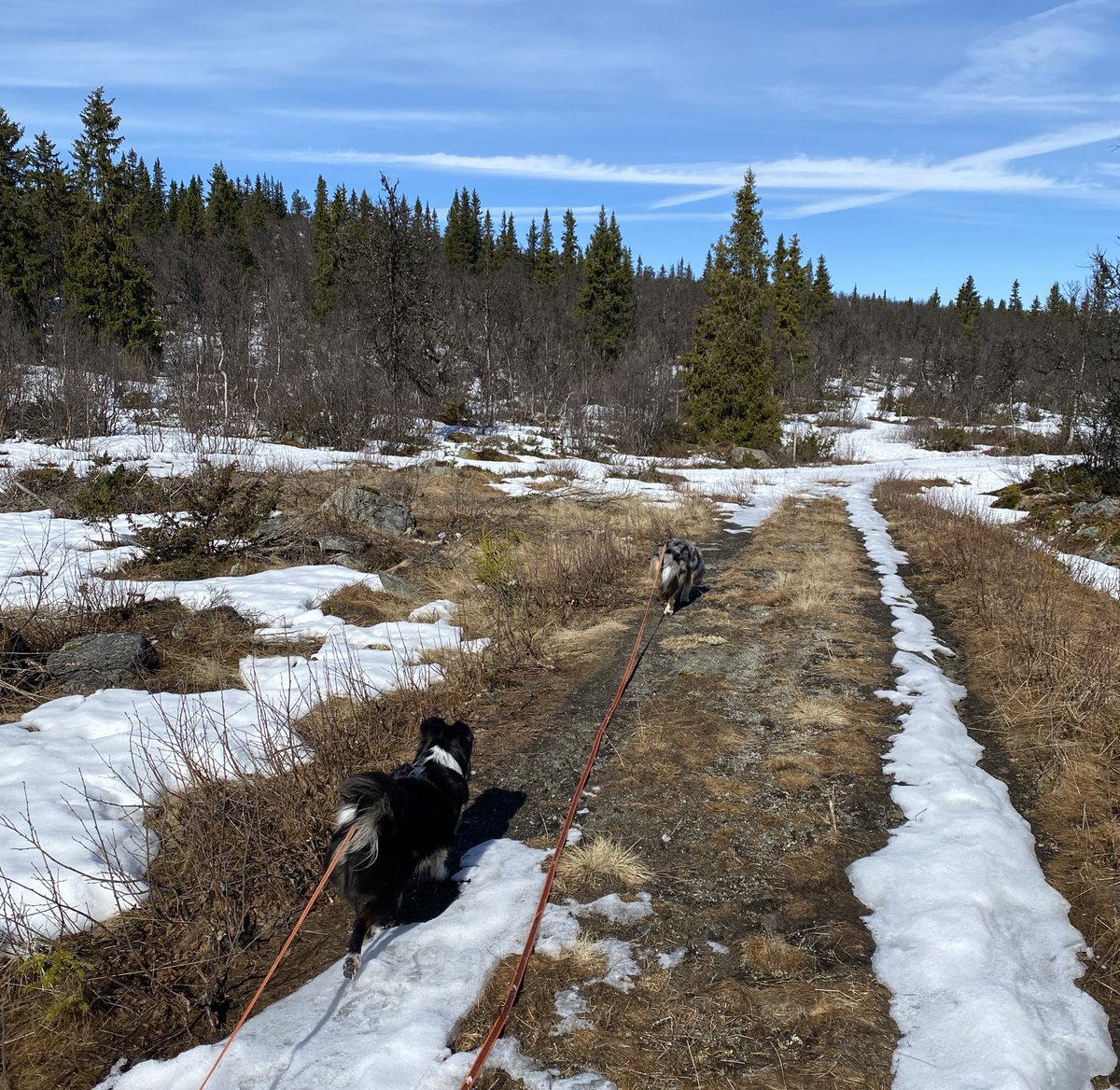 elemeNt2510's tweet image. Good morning everybody☀️
Have a great monday!

#GoMining #PassiveIncome #while #hilking