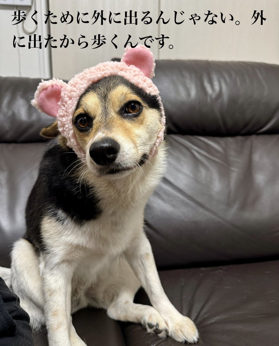 GOTO (@GOTO1209) / Posts and Replies / X