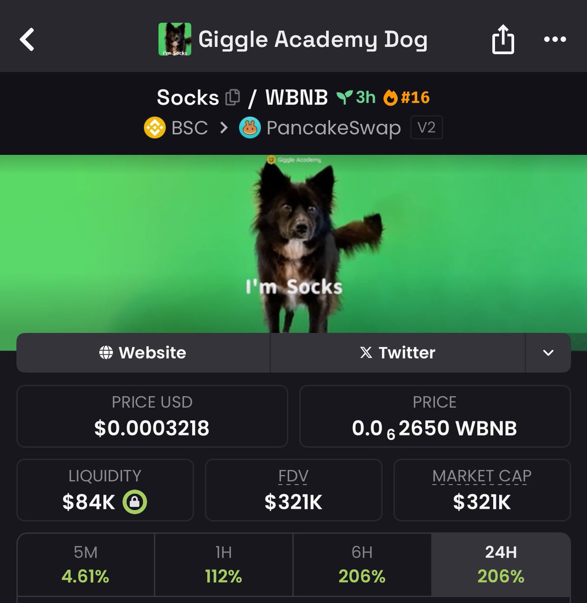 GemisAlpha's tweet image. $socks 💚💚💚