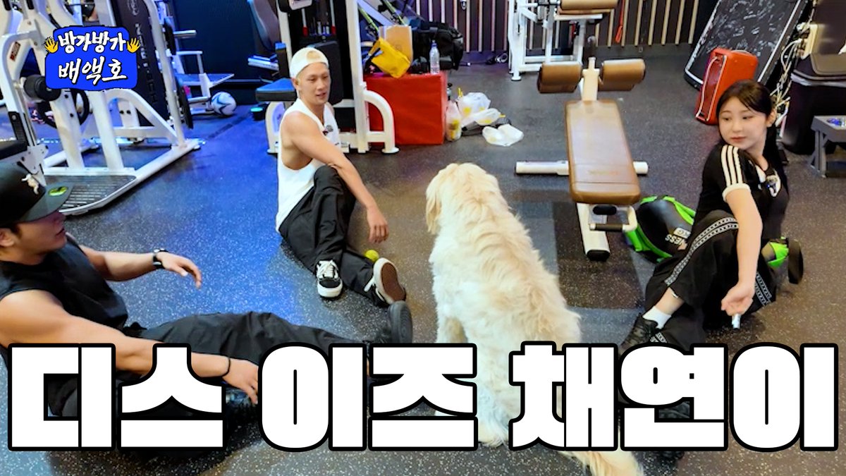 [VIDEO]

드디어 퍼런불 그곳에 그녀🙋🏻‍♀️ 등장

youtu.be/ytIUZiskFUQ

#백호 #BAEKHO #강동호 #KANGDONGHO #이채연