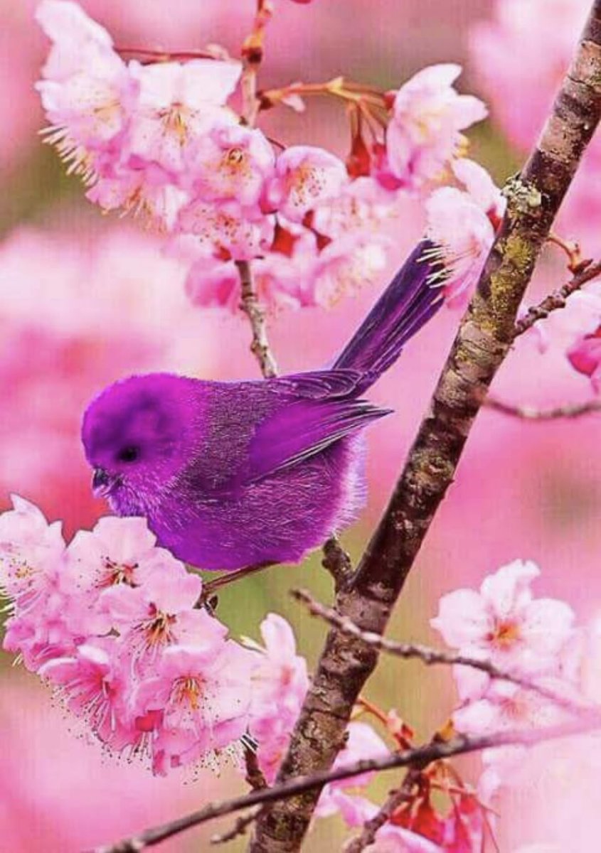 بعض الكلمات الصادقة والأفعال البسيطة 
تجعل العالم أَقل بشاعة والأيام أخف وطأة 
نعم،،النفحات العفوية تُعيد توهج النور لأرواحنا 

✍🏻♥️🕊️
جرعة إيجابية