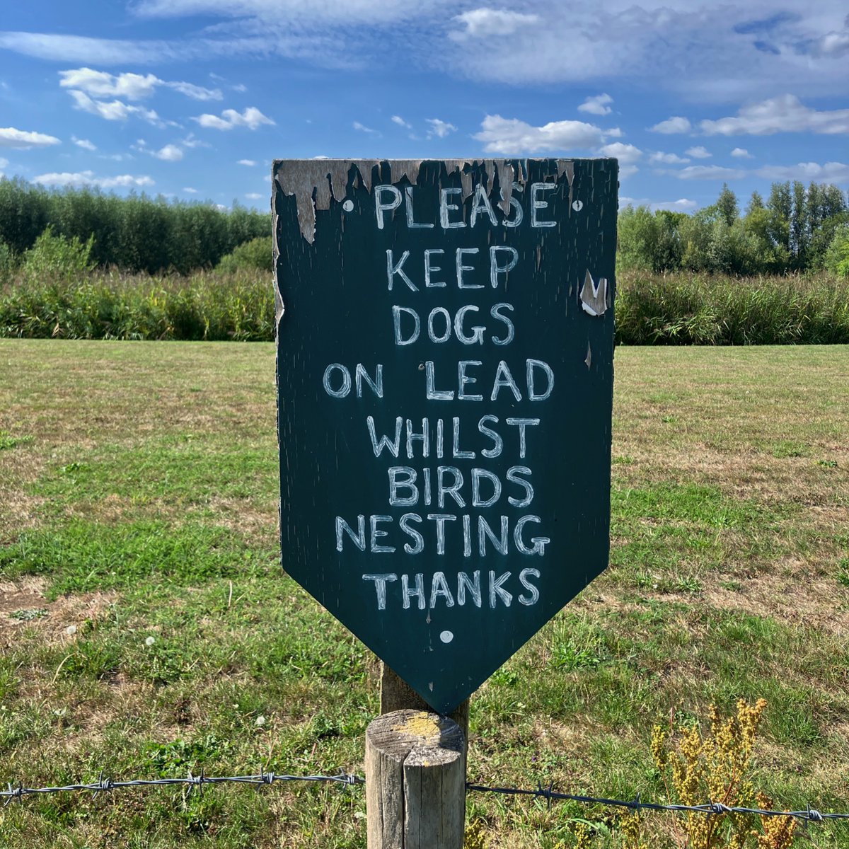 Signs of the Thames Path, nesting birds edition.