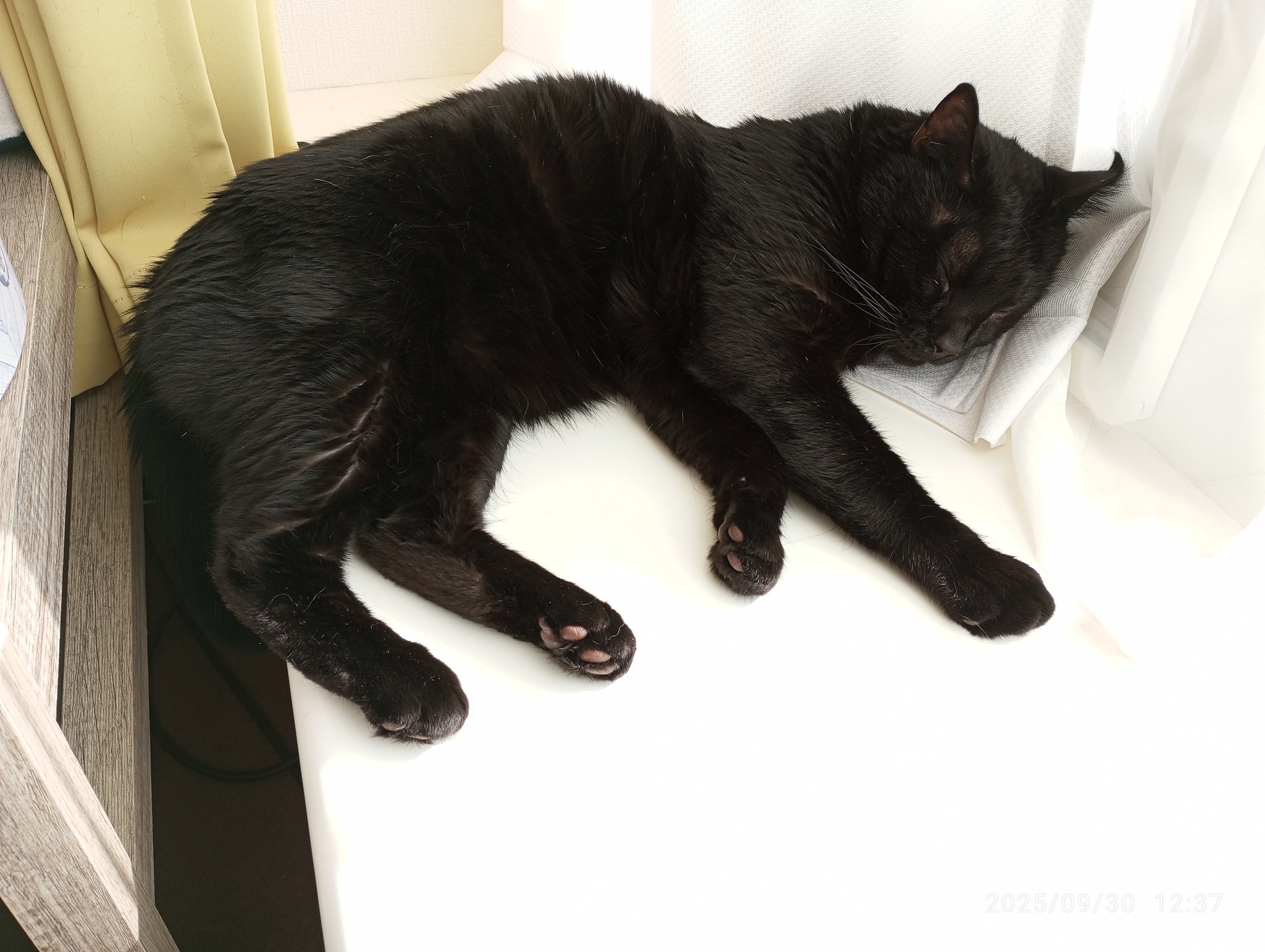 しお＆ごま on X: 