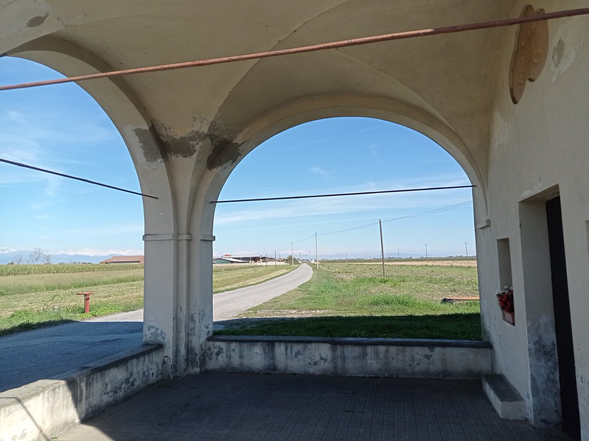 luca_bergamasco's tweet image. Some ride impressions, but they are from another ride. #TheRoad #tree #TreeFriends #nature