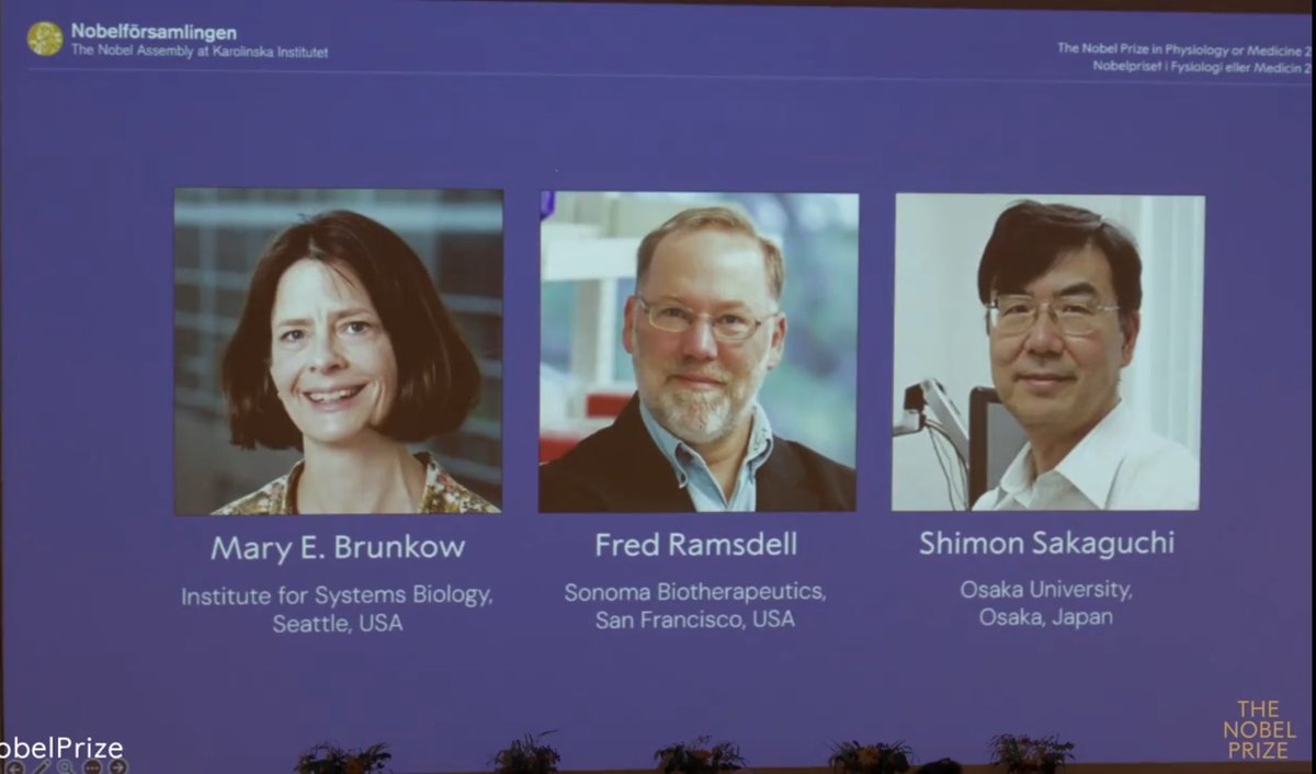 El Premio Nobel de Fisiología o Medicina 2025 fue otorgado a Mary E. Brunkow, Fred Ramsdell y Shimon Sakaguchi 🧬

👉 Motivo del galardón:

“Por sus descubrimientos sobre la tolerancia inmune periférica.”

Sus investigaciones han sido fundamentales para entender cómo el sistema