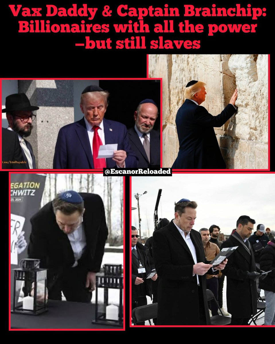 Oni zapravo imaju „moć“ poput direktora u Pfizeru, <a href="/AlbertBourla/">Albert Bourla</a>, koji u stvarnosti poseduje tek zanemarljiv udeo, daleko manji od 0,1% ukupnih akcija kompanije.

Sve klovn, do klovna.