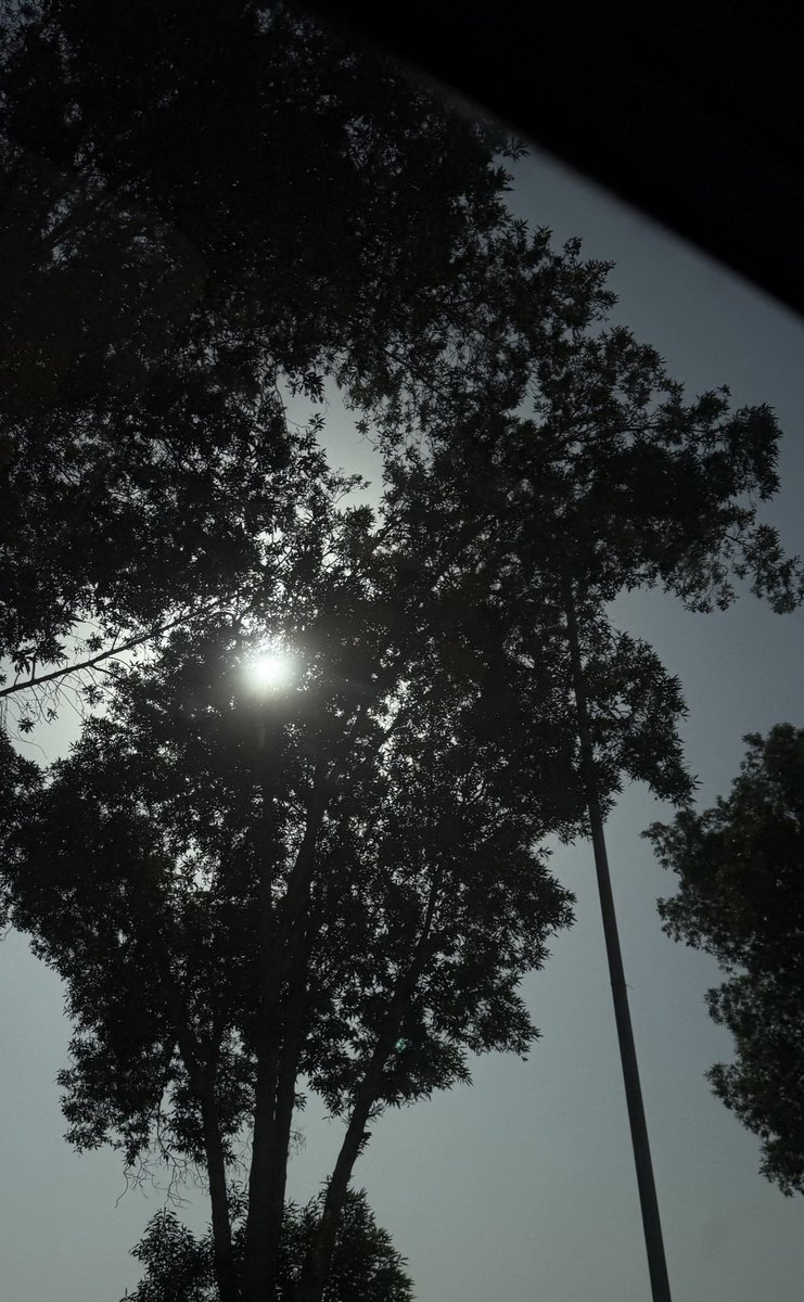 اريام tweet media