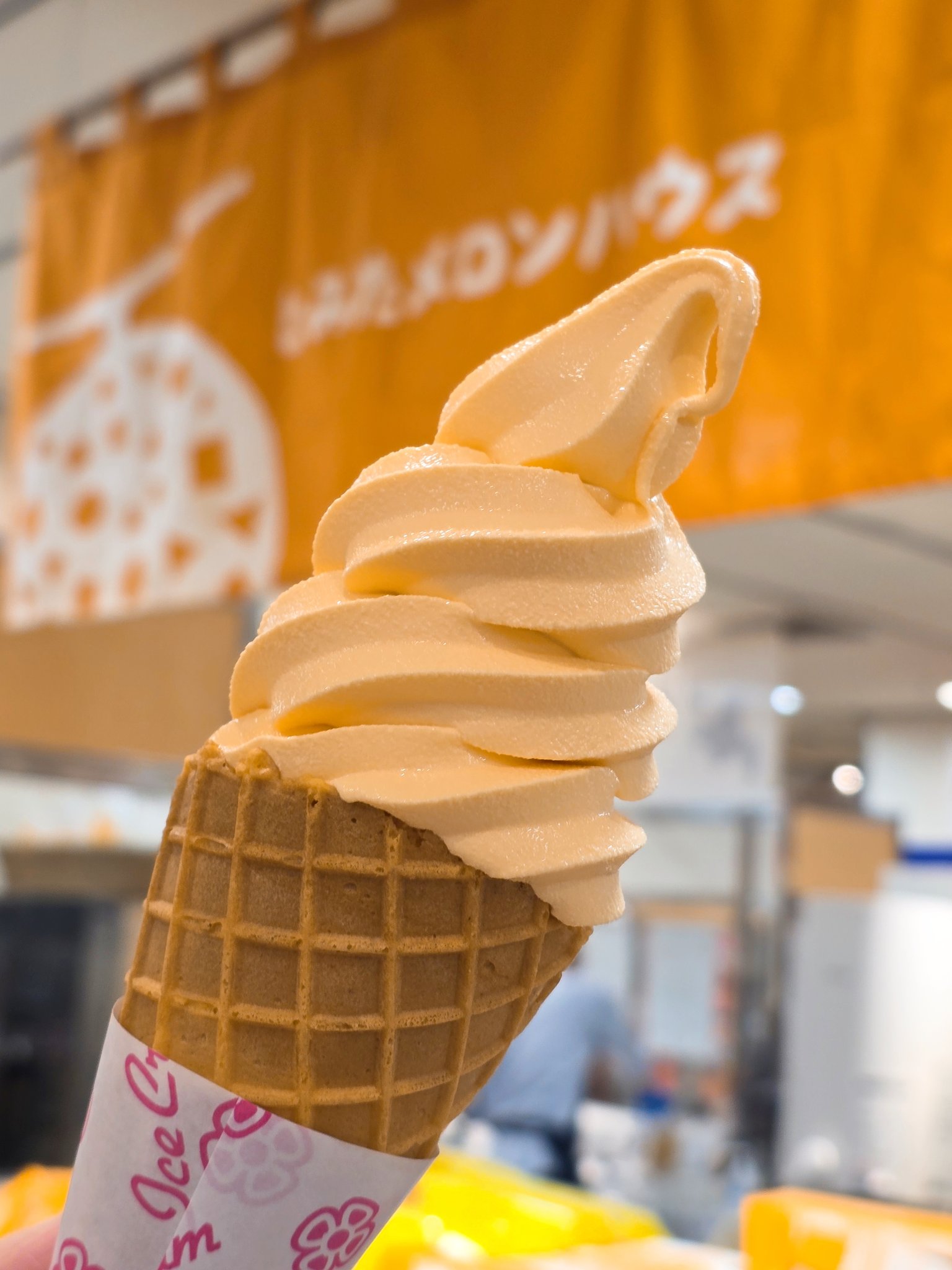 猫とアイスクリーム CACAOCAT ICE BAR × こねこねアイスセット ｜DADACA Online Store