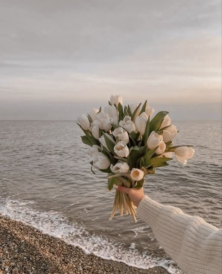 🕊️💜 tweet media